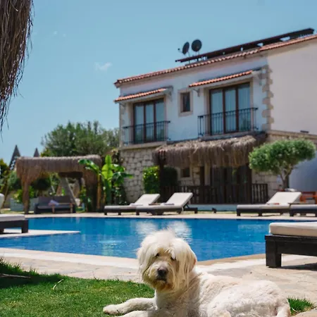 Albeon Luxury - Alaçatı